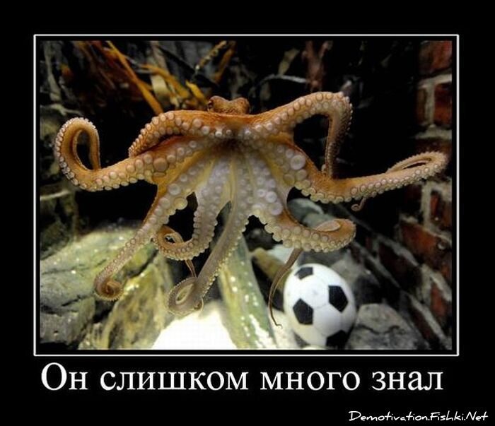 Демотиваторы, часть 84. (109 фото)