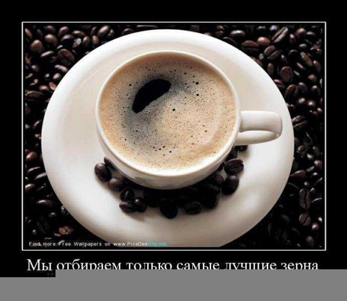 Демотиваторы, часть 84. (109 фото)