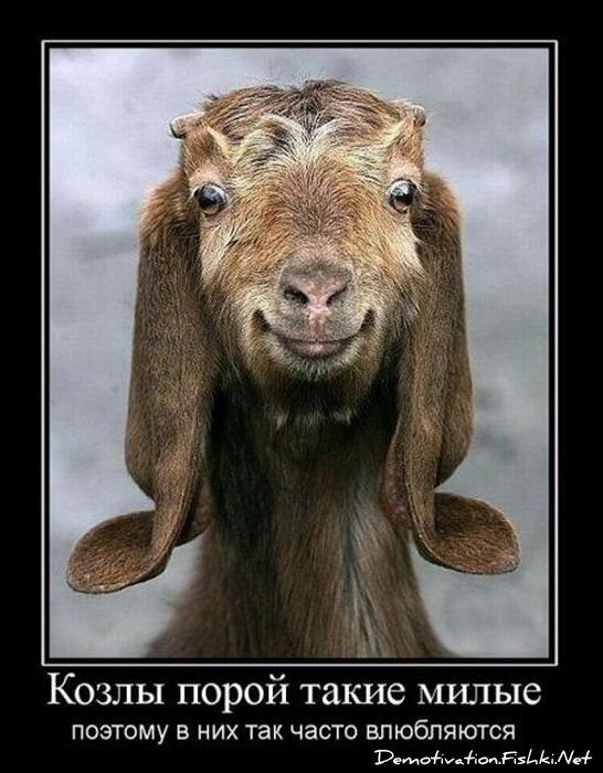 Демотиваторы, часть 84. (109 фото)