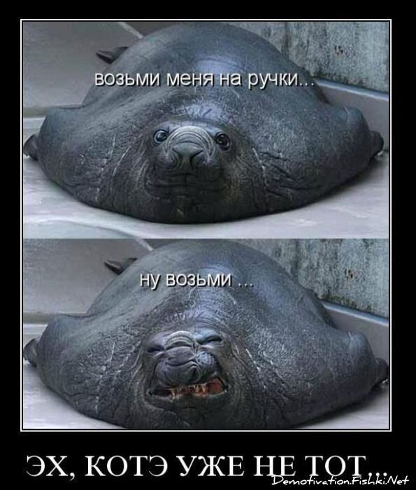 Демотиваторы, часть 84. (109 фото)