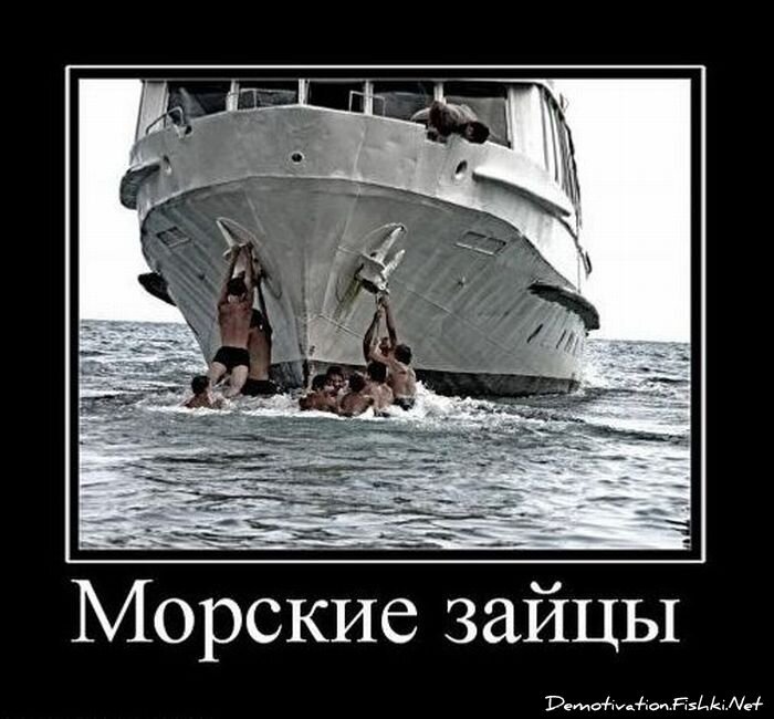 Смешной демотиватор от zubrilov за 29.10.2010 №60351