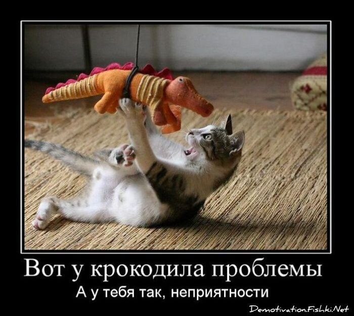 Смешной демотиватор от zubrilov за 29.10.2010 №60364