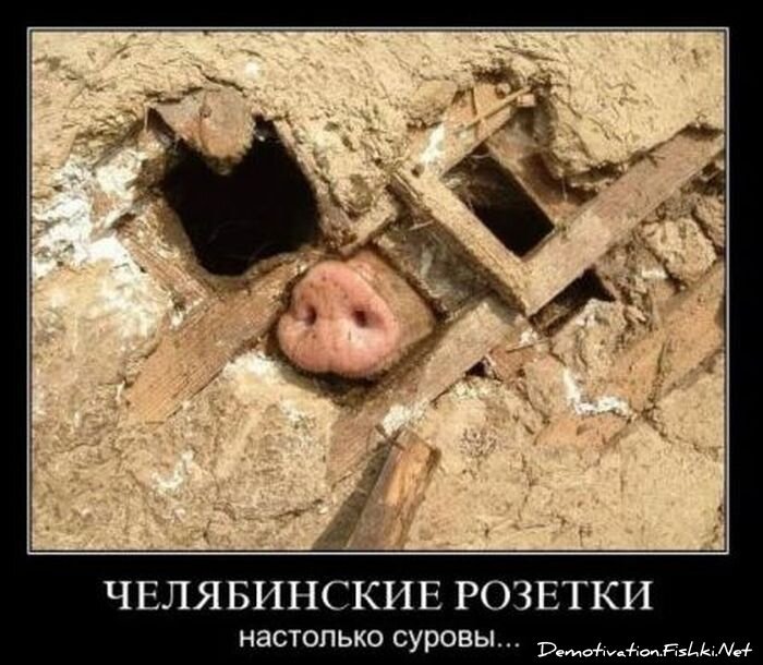 Смешной демотиватор от zubrilov за 29.10.2010 №60367