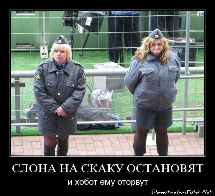 Смешной демотиватор от zubrilov за 29.10.2010 №60368