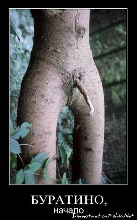 Смешной демотиватор от zubrilov за 01.11.2010 №60400