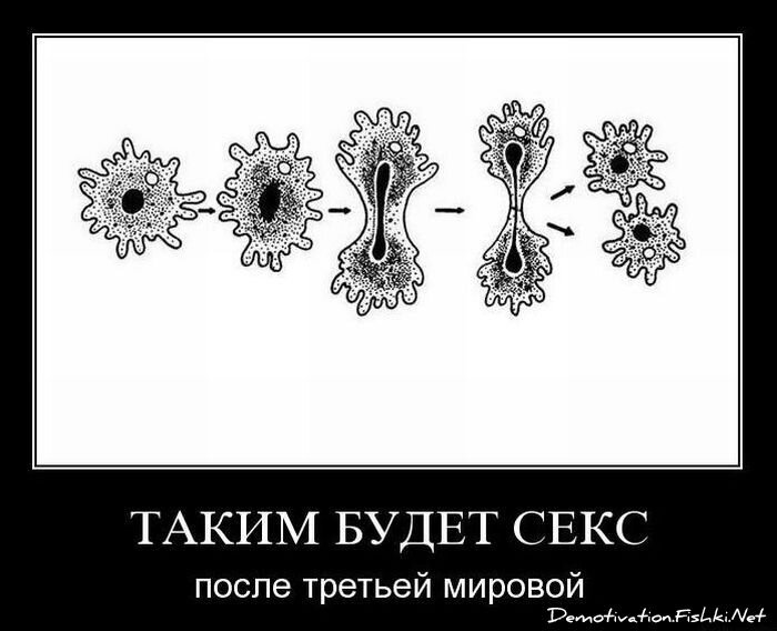 Смешной демотиватор от zubrilov за 01.11.2010 №60408