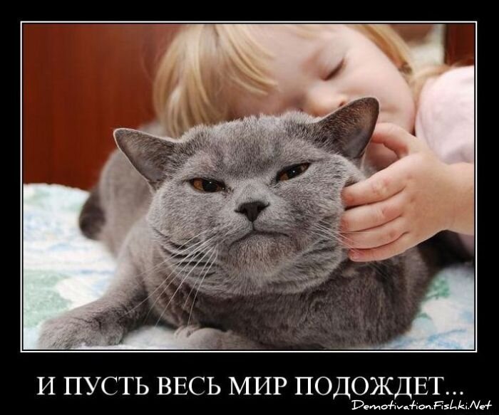 Демотиваторы, часть 85. (54 фото)