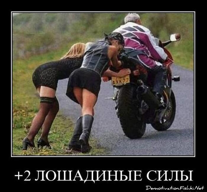 Смешной демотиватор от zubrilov за 01.11.2010 №60422