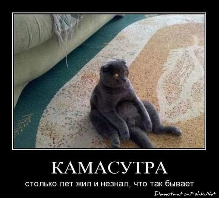 Смешной демотиватор от zubrilov за 01.11.2010 №60423