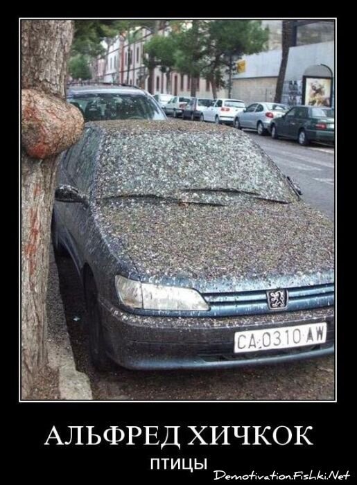 Смешной демотиватор от zubrilov за 01.11.2010 №60431