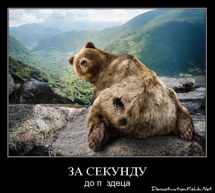 Смешной демотиватор от zubrilov за 01.11.2010 №60432