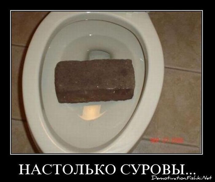 Смешной демотиватор от zubrilov за 03.11.2010 №60478