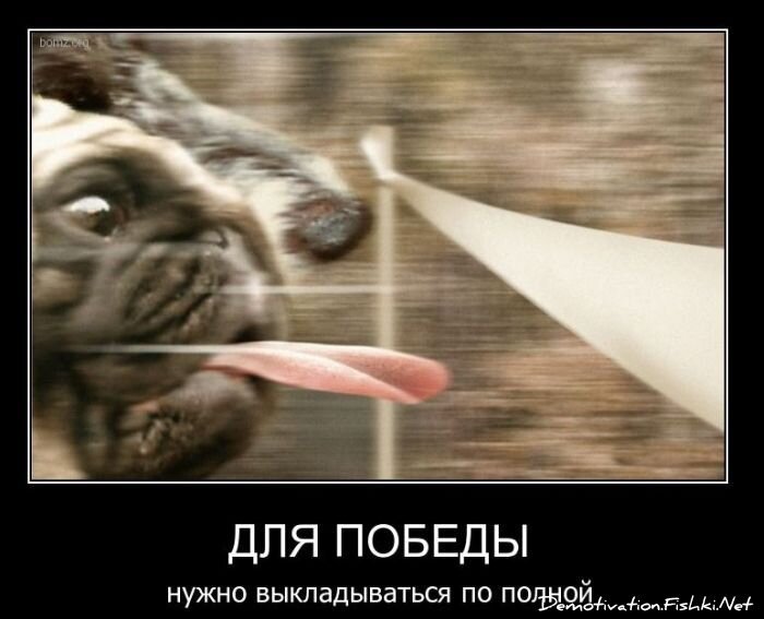 Смешной демотиватор от zubrilov за 03.11.2010 №60493