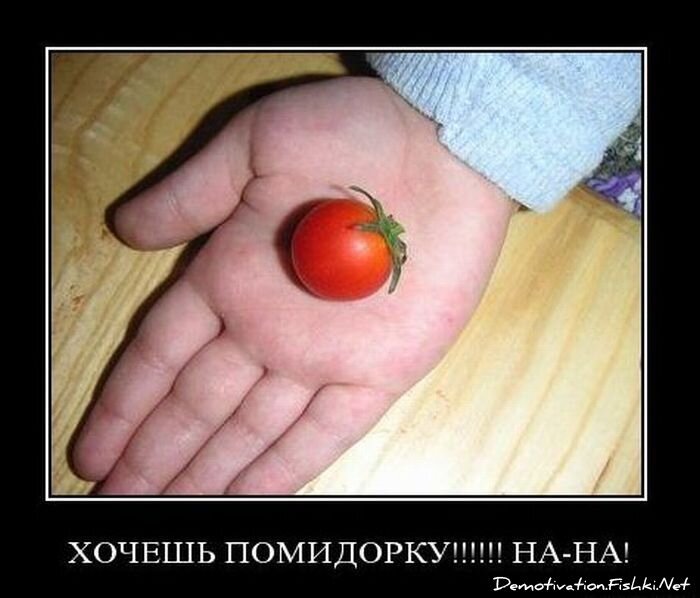 Смешной демотиватор от zubrilov за 03.11.2010 №60505