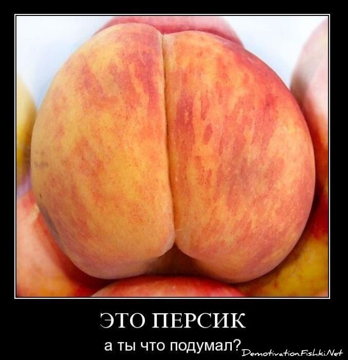 Смешной демотиватор от zubrilov за 03.11.2010 №60523