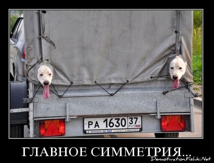 Смешной демотиватор от zubrilov за 03.11.2010 №60528