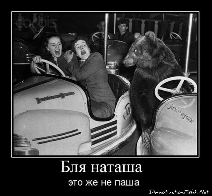 Смешной демотиватор от zubrilov за 03.11.2010 №60535