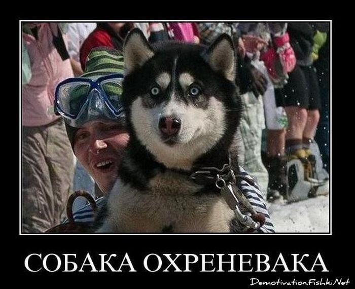 Демотиваторы, часть 86. (104 фото)