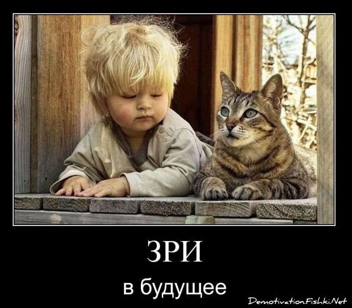 Смешной демотиватор от zubrilov за 03.11.2010 №60557