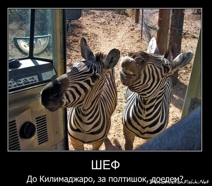 Подборка демотиваторов (161 фото)