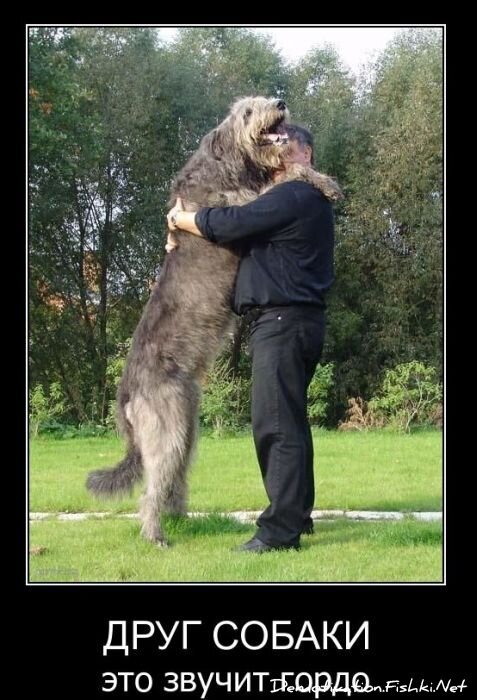 Смешной демотиватор от zubrilov за 10.11.2010 №60630