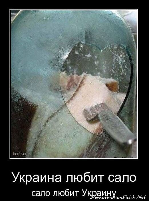 Смешной демотиватор от zubrilov за 10.11.2010 №60631