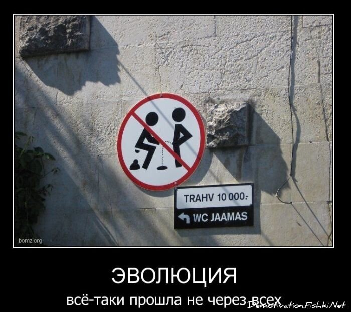 Смешной демотиватор от zubrilov за 10.11.2010 №60637