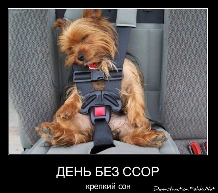 Смешной демотиватор от zubrilov за 10.11.2010 №60641