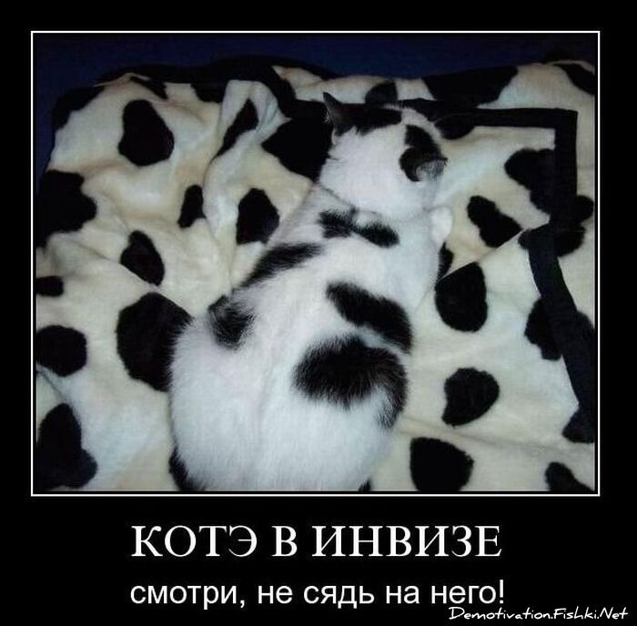 Смешной демотиватор от zubrilov за 10.11.2010 №60666