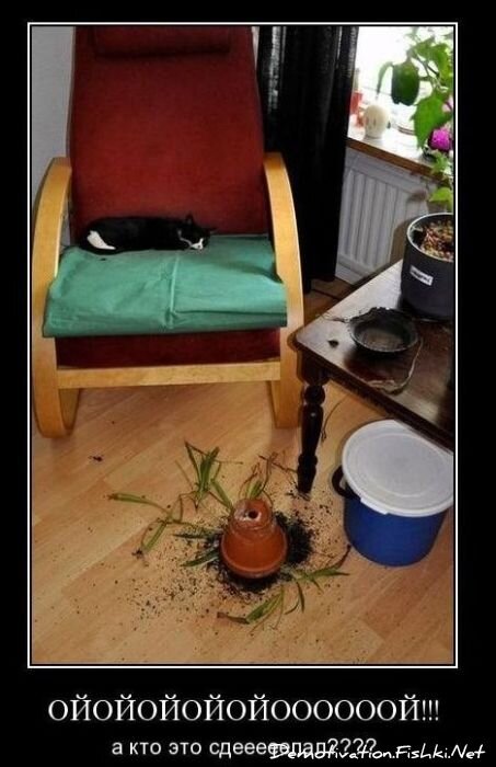 Подборка демотиваторов (161 фото)