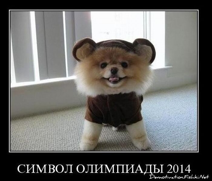 Смешной демотиватор от zubrilov за 10.11.2010 №60690