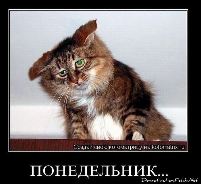 Смешной демотиватор от zubrilov за 10.11.2010 №60692