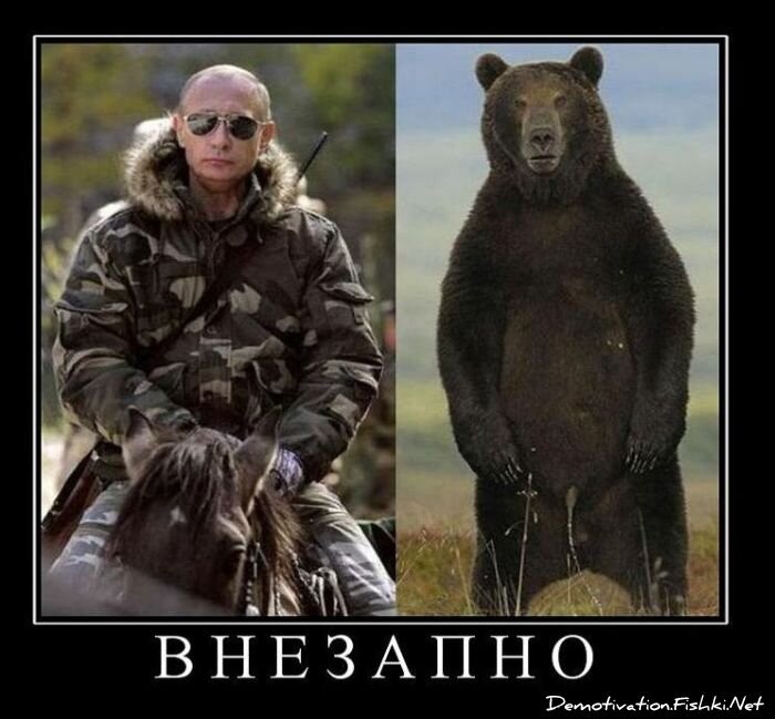Смешной демотиватор от zubrilov за 10.11.2010 №60703