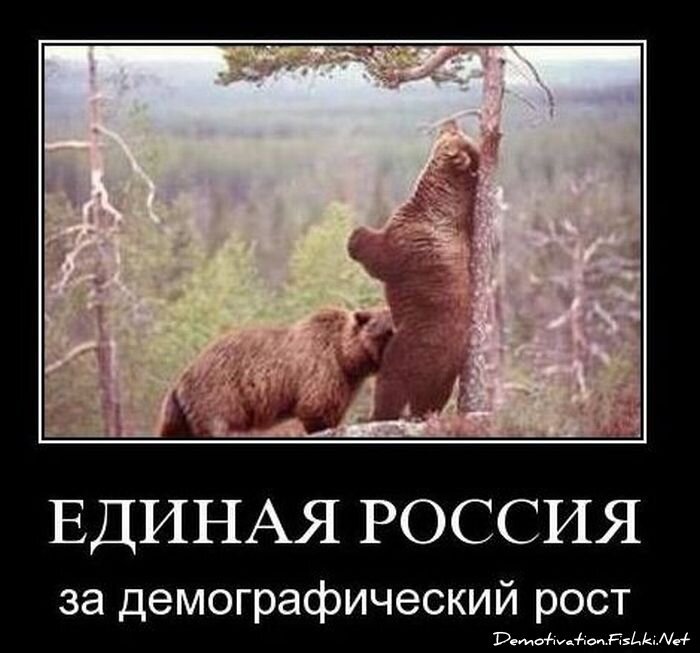 Смешной демотиватор от zubrilov за 10.11.2010 №60708