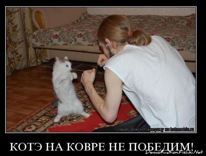 Смешной демотиватор от zubrilov за 10.11.2010 №60709