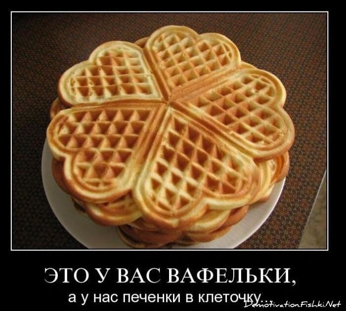 Смешной демотиватор от zubrilov за 10.11.2010 №60710