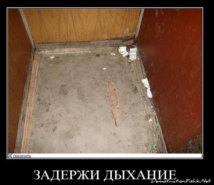 Смешной демотиватор от zubrilov за 10.11.2010 №60711