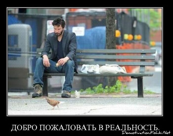 Смешной демотиватор от zubrilov за 10.11.2010 №60718