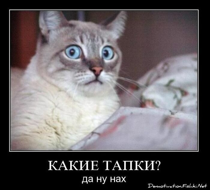 Смешной демотиватор от zubrilov за 10.11.2010 №60725