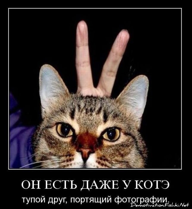 Смешной демотиватор от zubrilov за 10.11.2010 №60736