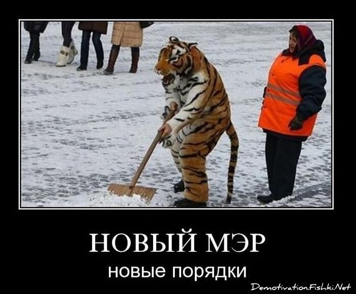 Смешной демотиватор от zubrilov за 10.11.2010 №60741