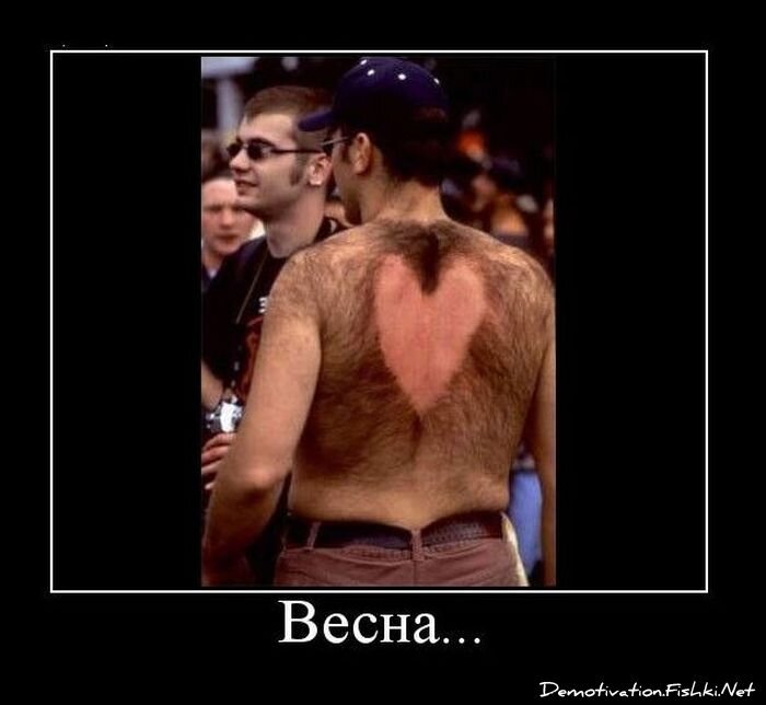 Смешной демотиватор от zubrilov за 10.11.2010 №60749