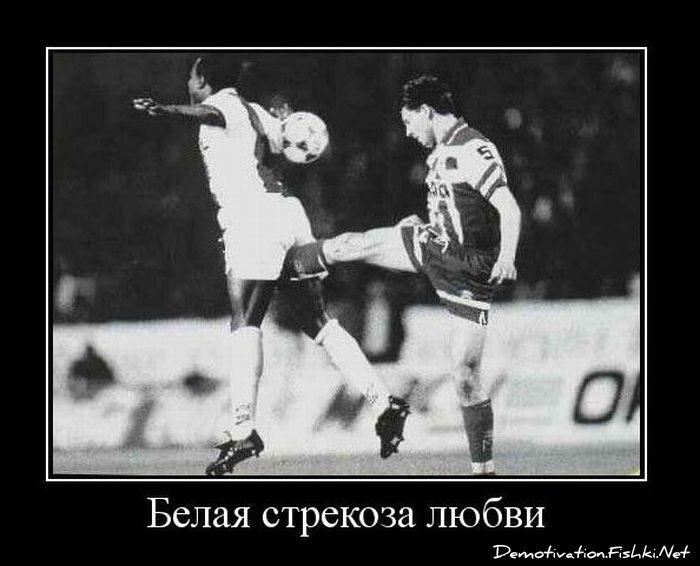 Смешной демотиватор от zubrilov за 10.11.2010 №60750