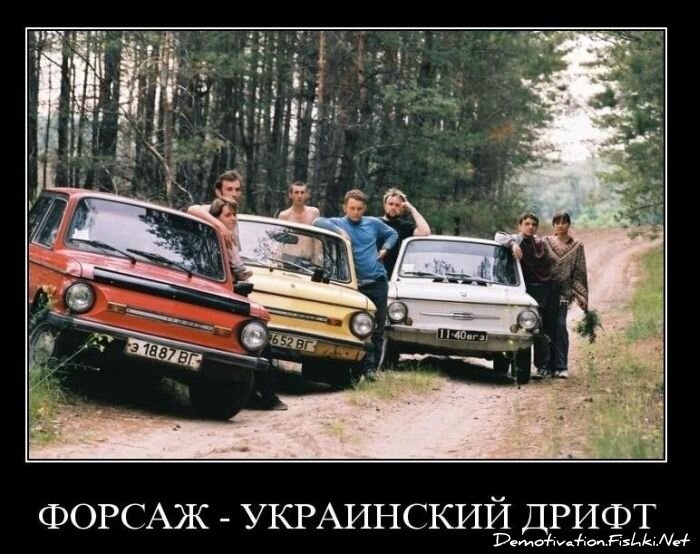 Смешной демотиватор от zubrilov за 10.11.2010 №60751