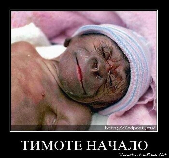Смешной демотиватор от zubrilov за 10.11.2010 №60756
