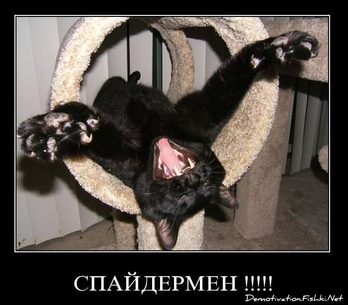 Смешной демотиватор от zubrilov за 10.11.2010 №60757