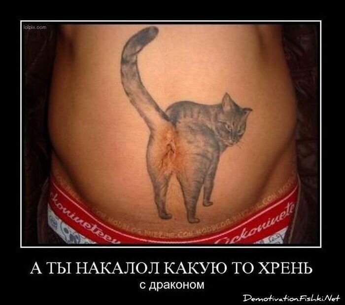 Смешной демотиватор от zubrilov за 10.11.2010 №60758
