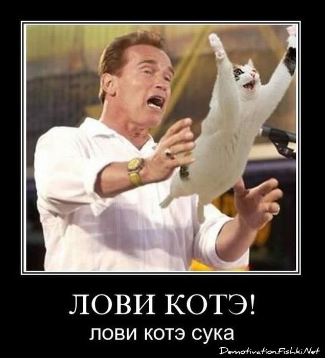 Смешной демотиватор от zubrilov за 10.11.2010 №60759