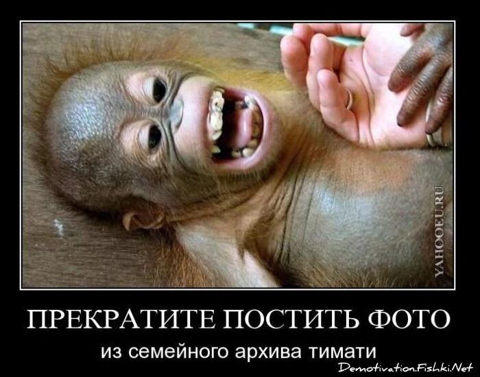 Смешной демотиватор от zubrilov за 10.11.2010 №60762