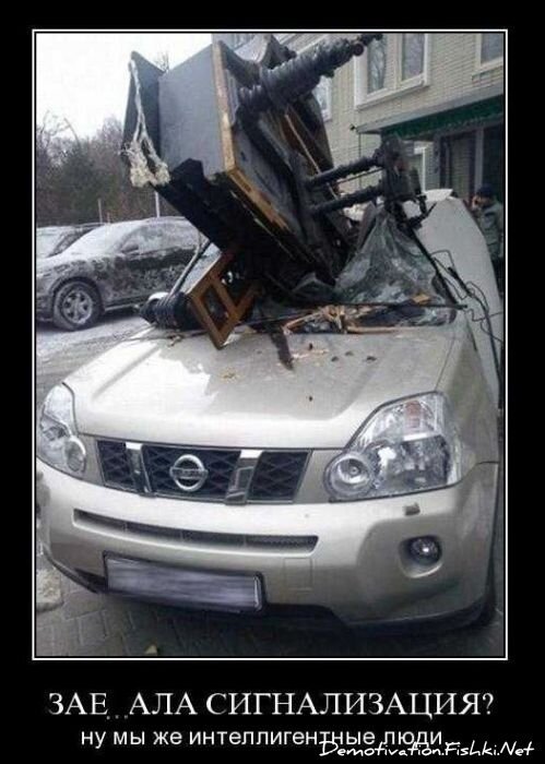 Смешной демотиватор от zubrilov за 10.11.2010 №60768